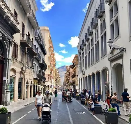 Coquille Maqueda Palermo